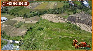 Gambar 5 8,000 M2 With Rice Fields And Mountain View In Kediri, Tabanan