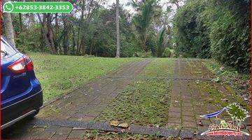 Gambar 4 Magnificent Land Sale 9,700 Sqm In Selemadeg Barat Tabanan 