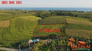 Gambar 5 2,700 M2 With Rice Fields, Ocean And Mountain View In Klecung