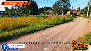 Gambar 5 Affordable Land For Sale 1,200 Sqm In Sukawati Ubud