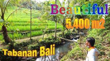 Gambar 1 Under Market Price Land For Sale 5,400 Sqm In Pupuan Tabanan