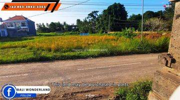 Gambar 2 Affordable Land For Sale 1,200 Sqm In Sukawati Ubud