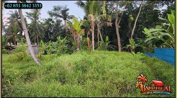 Gambar 2 1,600 M2 With Rice Fields And Jungle View In Ubud Pejeng