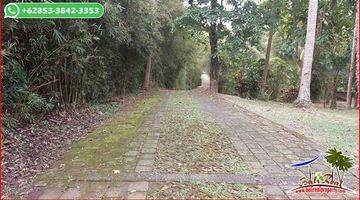 Gambar 5 Magnificent Land Sale 9,700 Sqm In Selemadeg Barat Tabanan 