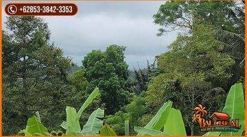 Gambar 2 6,900 M2 With Mountain And Jungle View In Penebel Tabanan