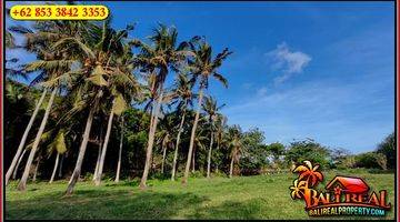 Gambar 4 4,500 M2 With Beach Front With Rice Fields View In Selemadeg