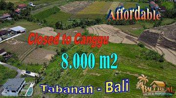 Gambar 1 8,000 M2 With Rice Fields And Mountain View In Kediri, Tabanan