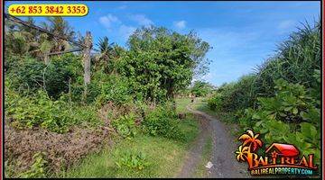 Gambar 3 4,500 M2 With Beach Front With Rice Fields View In Selemadeg