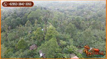 Gambar 4 6,900 M2 With Mountain And Jungle View In Penebel Tabanan