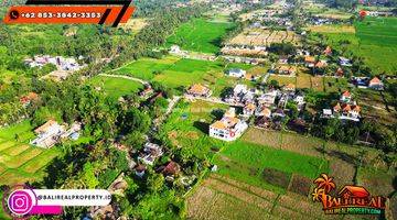 Gambar 1 Affordable Land For Sale 1,200 Sqm In Sukawati Ubud