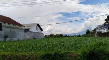 Gambar 2 Tanah Murah Sekali Dijual Dibawah Njop di Malang Dekat Universitas