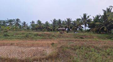 Gambar 5 LAHAN MATANG SEBERANG PANTAI 