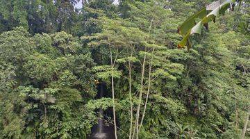 Gambar 2 Tanah Langka 1450 m² SHM dengan View Hutan Dan Air Terjun Yg Indah