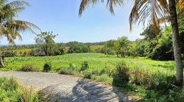 Gambar 5 Dijual Cepat Tanah Di Berembeng Tabanan 535 M² View Laut Dan Sawah