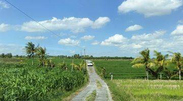 Gambar 5 Dijual Cepat Tanah 10are SHM Di Berembeng,Tabanan View Sawah & Laut 