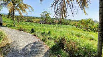 Gambar 4 Dijual Cepat Tanah Di Berembeng Tabanan 535 M² View Laut Dan Sawah