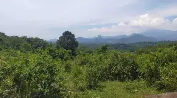 Gambar 1 Tanah Lokasi Strategis Cocok dibangun Villa di Cariu, Bogor, Jawa Barat 