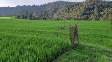 Gambar 1 S M Property Tanah Sawah Singaraja Busungbiu Buleleng Bali