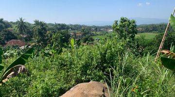 Gambar 1 Tanah Pasir Danau Sawah Mata Air di Cibinong Hill Cianjur Jabar