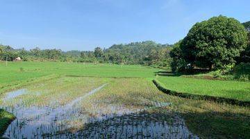 Gambar 2 Tanah Pasir Danau Sawah Mata Air di Cibinong Hill Cianjur Jabar