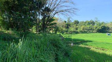 Gambar 4 Tanah Pasir Danau Sawah Mata Air di Cibinong Hill Cianjur Jabar