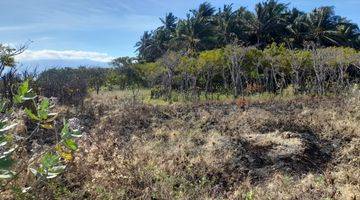 Gambar 2 Tanah Murah Los Pantai di Pringgabaya Lombok