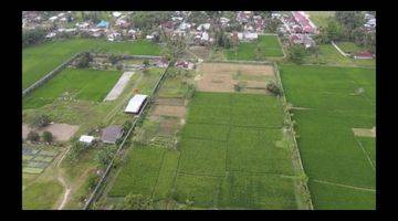 Gambar 4 TANAH MURAH 2 ha BATANGKUIS KEL.SUGIHARJO DELI SERDANG, SUMATERA UTARA MEDAN