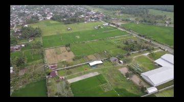 Gambar 5 TANAH MURAH 2 ha BATANGKUIS KEL.SUGIHARJO DELI SERDANG, SUMATERA UTARA MEDAN