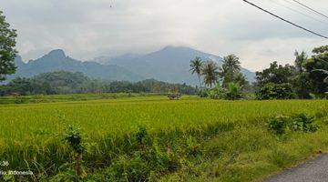 Gambar 5 Kavling Kebun Durian di Pegunungan Bogor Timur