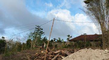 Gambar 1 Disewakan Tanah Murah Dekat Dengan Pantai Dipecatu