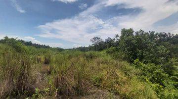 Gambar 3 Dijual Tanah 30 Are View Sungai Dan Lembah di Klungkung