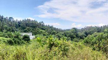 Gambar 1 Dijual Tanah 30 Are View Sungai Dan Lembah di Klungkung