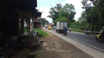 Gambar 2 Tanah matang di Jalan Raya Cipatat Tanah