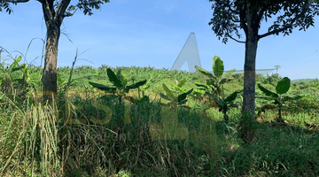 Gambar 2  Tanah Luas 6,8 Ha, Murah Dan Strategis Di Tengah Kota Cianjur