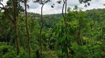 Gambar 2 Tanah View Jungle dan River di Begawan Giri Payangan Ubud 60 Are 