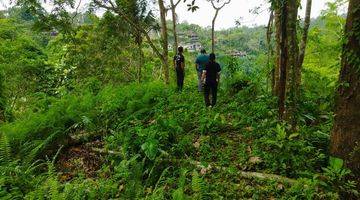 Gambar 1 Tanah View Jungle dan River di Begawan Giri Payangan Ubud 60 Are 