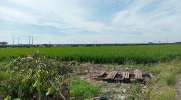 Gambar 5 Kavling  2 Ha di Tambun Utara, Bekasi - Dekat Tol Gabus lokasinya premium