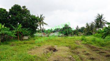 Gambar 4 Tanah di Desa Gaga, Pakuhaji. Dekat Airport, Pergudangan Laksana