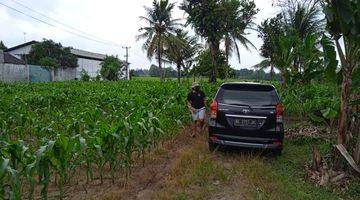 Gambar 3 Tanah Di Pinggir Jalan Raya Terbanggi Propinsi Lampung Tengah