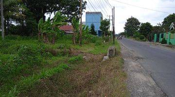 Gambar 5 Tanah Di Pinggir Jalan Raya Terbanggi Propinsi Lampung Tengah