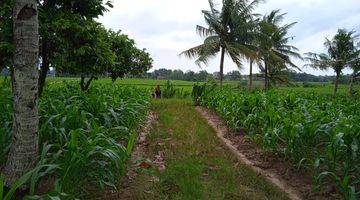 Gambar 4 Tanah Di Pinggir Jalan Raya Terbanggi Propinsi Lampung Tengah