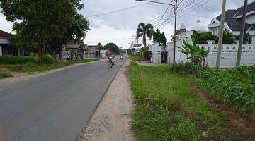 Gambar 1 Tanah Di Pinggir Jalan Raya Terbanggi Propinsi Lampung Tengah