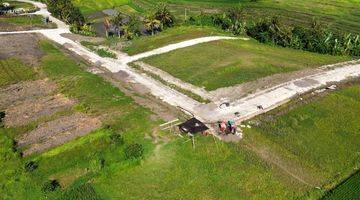 Gambar 3 Tanah 555m2 Super Bagus Cocok Untuk Villa -view Ricefield