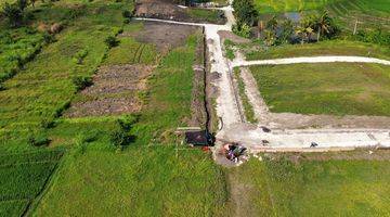 Gambar 4 Tanah 555m2 Super Bagus Cocok Untuk Villa -view Ricefield