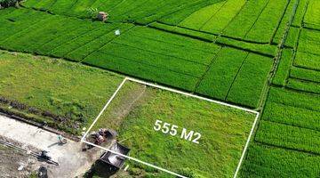 Gambar 1 Tanah 555m2 Super Bagus Cocok Untuk Villa -view Ricefield