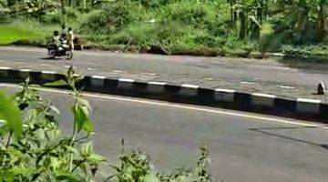 Gambar 5 LAHAN INDUSTRI PINGGIR JALAN PROPINSI DI BATANG