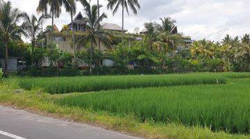 Gambar 2 BUC - Tanah Cantik untuk Resort - Ubud rice terrace View