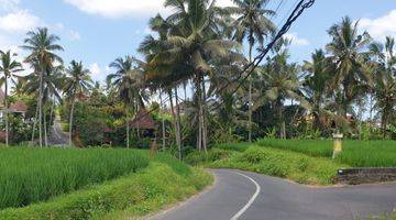 Gambar 3 BUC - Tanah Cantik untuk Resort - Ubud rice terrace View