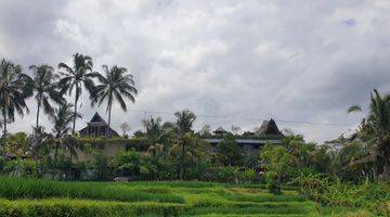 Gambar 4 BUC - Tanah Cantik untuk Resort - Ubud rice terrace View