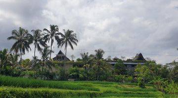 Gambar 5 BUC - Tanah Cantik untuk Resort - Ubud rice terrace View